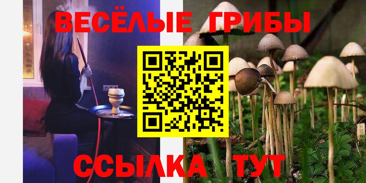 Коммунар  Псилоцибиновые грибы Magic Shrooms  Вход с VPN 